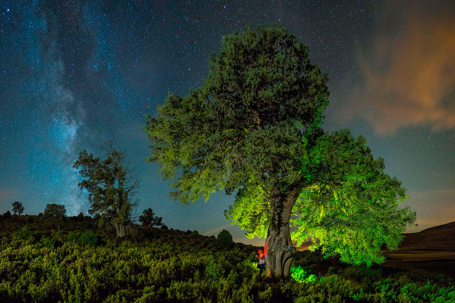 1.-Fotografia-19.-la-tarabina-milenaria-(1)